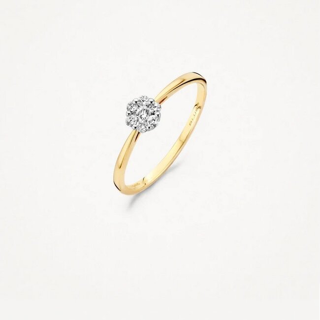Blush 1611BDI/54 Ring 14 krt goud met diamant maat 54