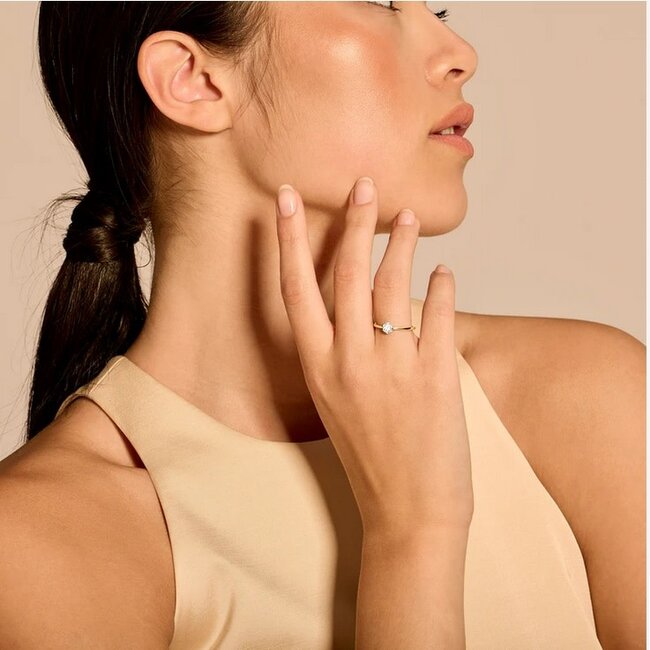 Blush 1611BDI/54 Ring 14 krt goud met diamant maat 54