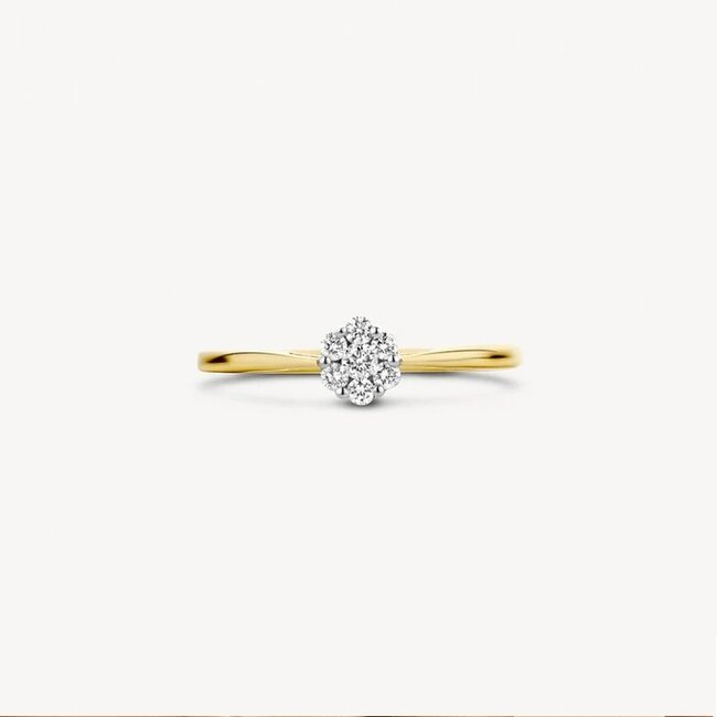 Blush 1611BDI/54 Ring 14 krt goud met diamant maat 54