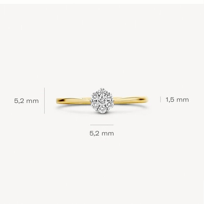 Blush 1611BDI/54 Ring 14 krt goud met diamant maat 54