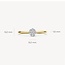 Blush 1611BDI/54 Ring 14 krt goud met diamant maat 54