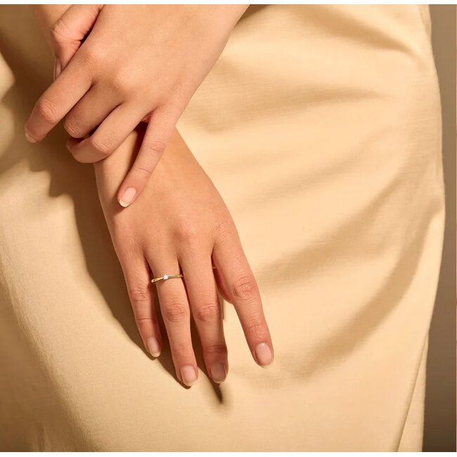 Blush 1622BDI/54 Ring 14 krt geelgoud met Diamant maat 54