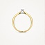 Blush 1622BDI/54 Ring 14 krt geelgoud met Diamant maat 54