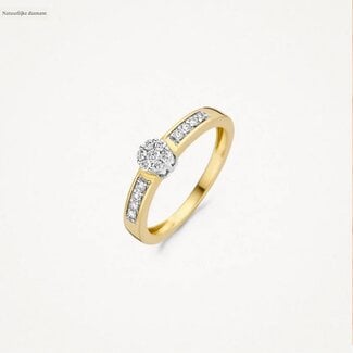 Blush Blush Ring 1624BDI/56 14k Geelgoud 0,25crt G SI Briljant geslepen Diamant Maat 56