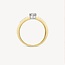 Blush Blush Ring 1624BDI/56 14k Geelgoud 0,25crt G SI Briljant geslepen Diamant Maat 56