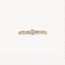 Blush Blush Ring 1625BDI/54 14k Geelgoud 0,12crt G SI Briljant geslepen Diamant Maat 54