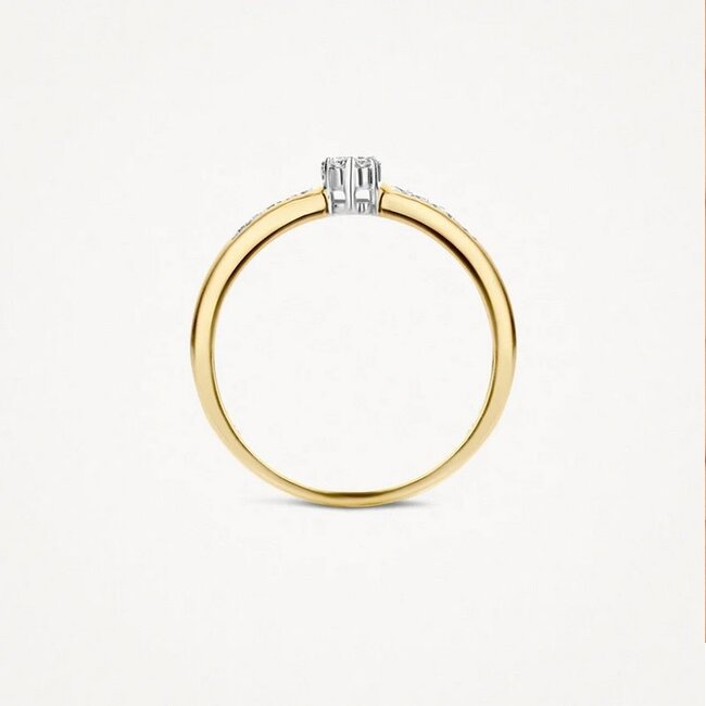 Blush Blush Ring 1625BDI/54 14k Geelgoud 0,12crt G SI Briljant geslepen Diamant Maat 54