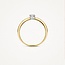 Blush Blush Ring 1625BDI/54 14k Geelgoud 0,12crt G SI Briljant geslepen Diamant Maat 54