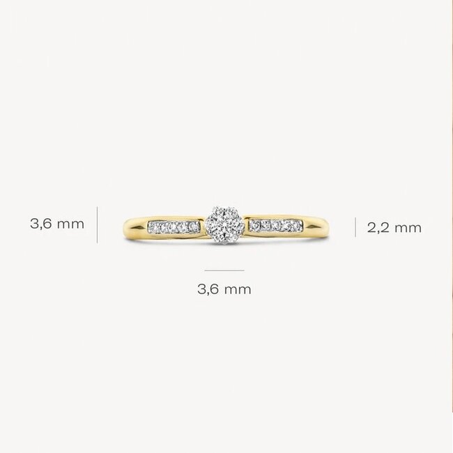 Blush Blush Ring 1625BDI/54 14k Geelgoud 0,12crt G SI Briljant geslepen Diamant Maat 54