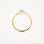 Blush Blush Ring 1648BDI/54 14k Geelgoud 0,15crt G SI Briljant geslepen Diamant Maat 54