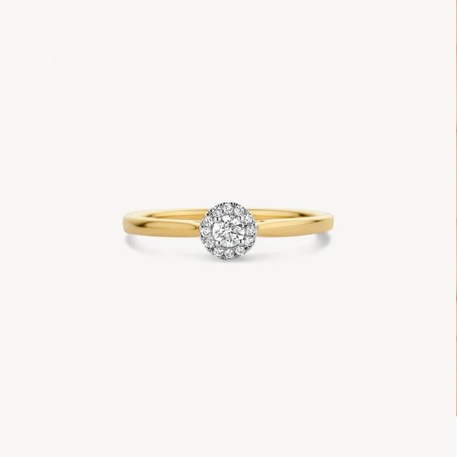 Blush Blush Ring 1648BDI/54 14k Geelgoud 0,15crt G SI Briljant geslepen Diamant Maat 54