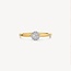 Blush Blush Ring 1648BDI/54 14k Geelgoud 0,15crt G SI Briljant geslepen Diamant Maat 54