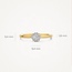 Blush Blush Ring 1648BDI/54 14k Geelgoud 0,15crt G SI Briljant geslepen Diamant Maat 54