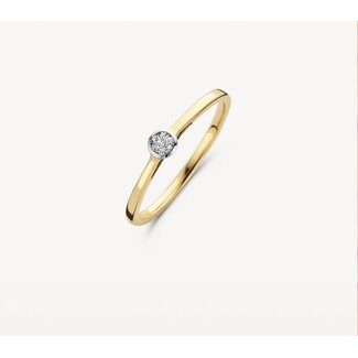 Blush Blush Ring 1653BDI/54 14kt Geelgoud 0,06crt G SI Briljant geslepen Diamant Maat 54