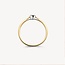 Blush Blush Ring 1653BDI/54 14kt Geelgoud 0,06crt G SI Briljant geslepen Diamant Maat 54