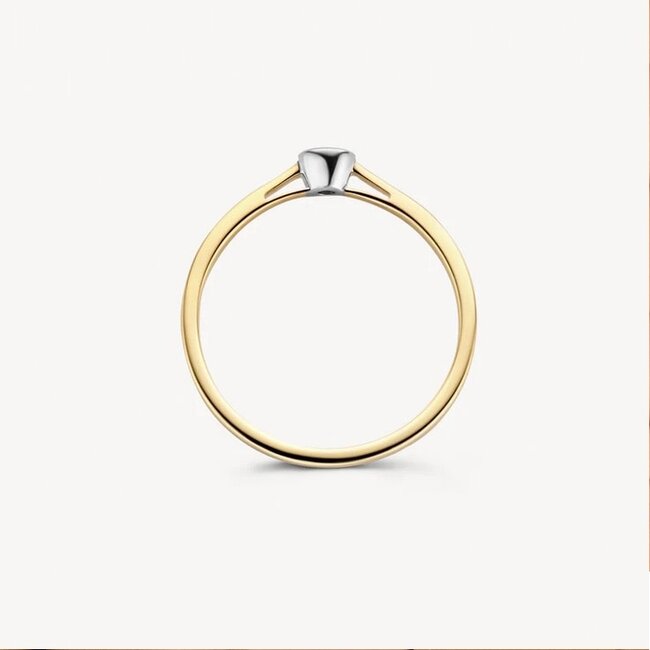 Blush Blush Ring 1653BDI/54 14kt Geelgoud 0,06crt G SI Briljant geslepen Diamant Maat 54