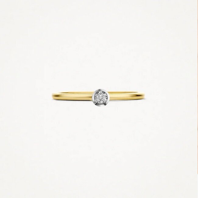 Blush Blush Ring 1653BDI/54 14kt Geelgoud 0,06crt G SI Briljant geslepen Diamant Maat 54