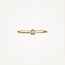 Blush Blush Ring 1653BDI/54 14kt Geelgoud 0,06crt G SI Briljant geslepen Diamant Maat 54