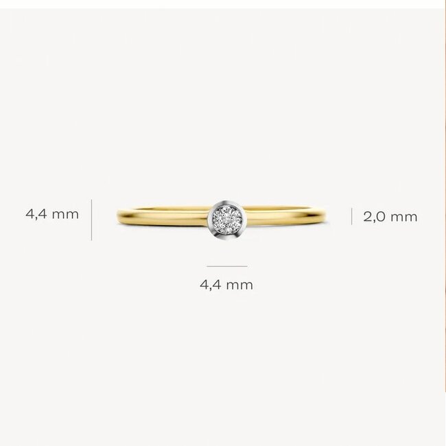 Blush Blush Ring 1653BDI/54 14kt Geelgoud 0,06crt G SI Briljant geslepen Diamant Maat 54