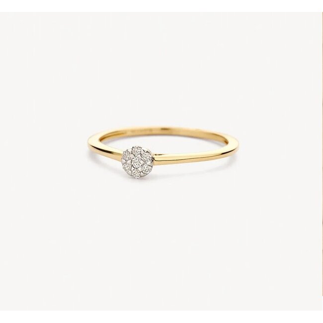 Blush Blush Ring 1680BDI/54 14k Geelgoud met H SI Briljant geslepen Diamant Maat 54