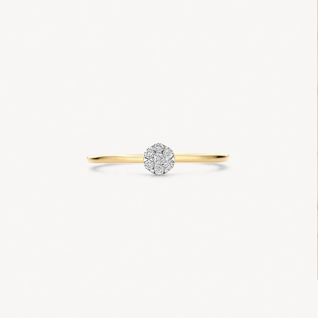 Blush Blush Ring 1680BDI/54 14k Geelgoud met H SI Briljant geslepen Diamant Maat 54