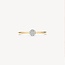 Blush Blush Ring 1680BDI/54 14k Geelgoud met H SI Briljant geslepen Diamant Maat 54