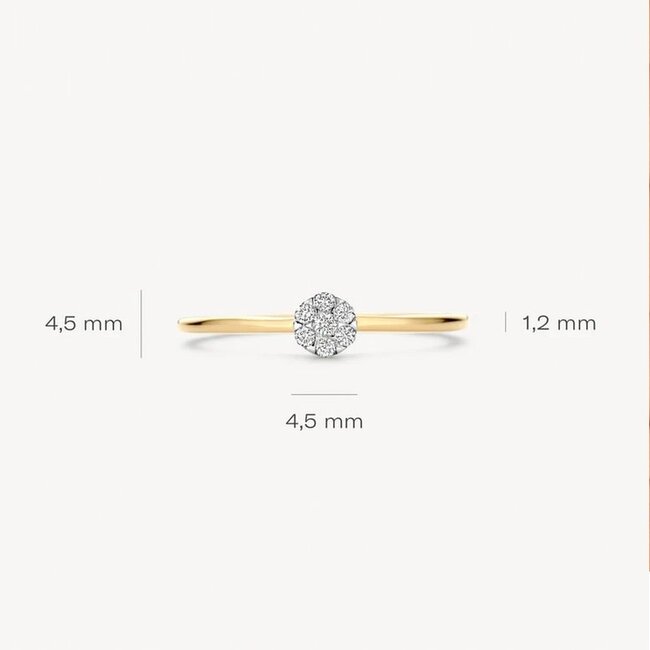 Blush Blush Ring 1680BDI/54 14k Geelgoud met H SI Briljant geslepen Diamant Maat 54