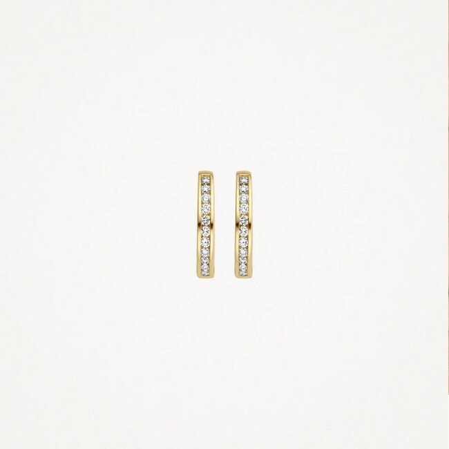 Blush Blush Oorbellen 7614YDI 14kr Geelgoud 0,10crt G SI Briljant geslepen Diamant