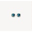 Blush Blush Oorbellen 7629YDL 14k Geelgoud 2x 0,05crt G SI Diamant en Blue Topaz