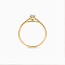 Blush Blush Ring LG1017Y/54 14k Geelgoud met 0,32crt H SI Briljant geslepen Lab Grown Diamant Maat 54