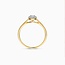 Blush Blush Ring LG1023Y/54 14k Geelgoud met 0,13crt en 0,09crt H SI Briljant geslepen Lab Grown Diamant Maat 54