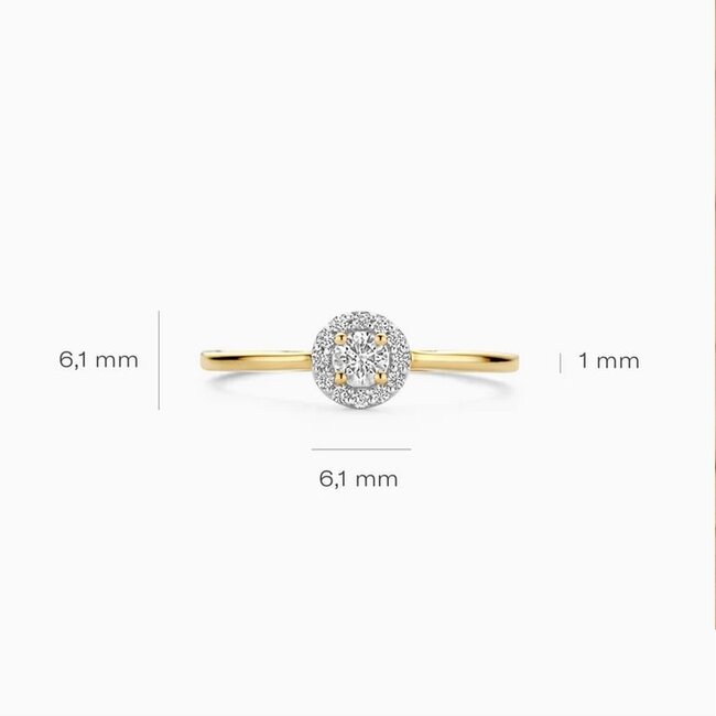 Blush Blush Ring LG1023Y/54 14k Geelgoud met 0,13crt en 0,09crt H SI Briljant geslepen Lab Grown Diamant Maat 54