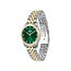 BOSS BOSS Horloge HB1502834 Graceful Prec Staal Bi-color Quartz met Groene Wijzerplaat 30m Waterdicht 32mm