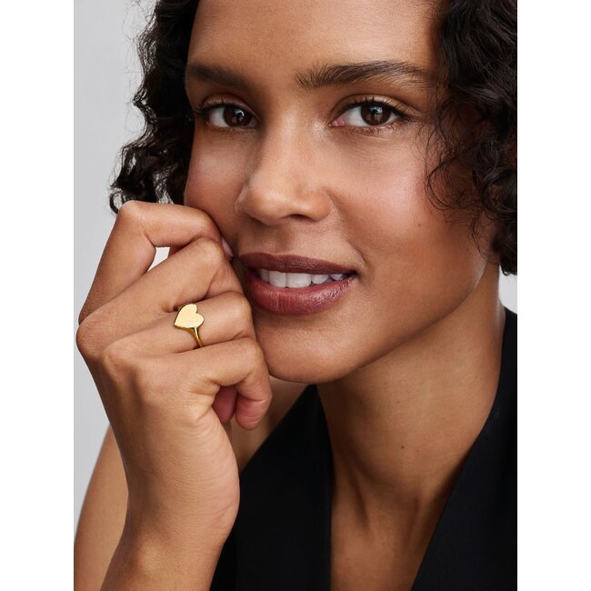 Pandora Pandora Ring 163988C00-54 Zilver met 14k Geelgouden Plating met Graveerbaar Hart Maat 54