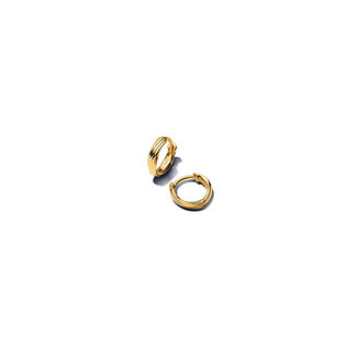 Pandora Pandora Oorbellen 263871C00 Zilver 14k Geelgoud Plating Gestreept