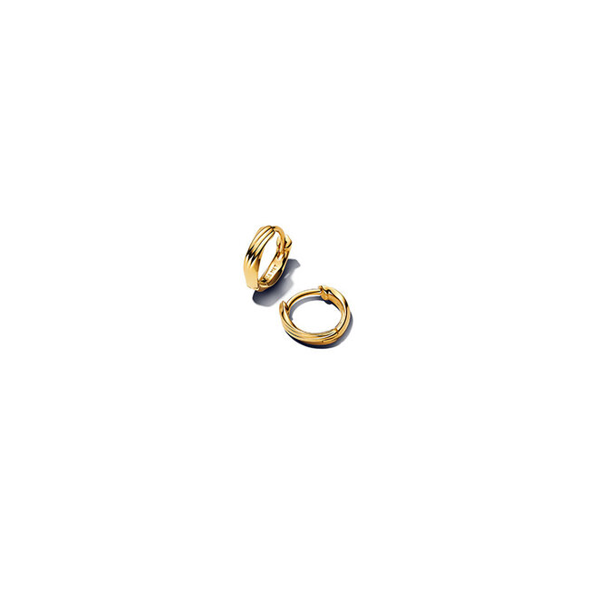 Pandora Pandora Oorbellen 263871C00 Zilver 14k Geelgoud Plating Gestreept