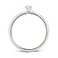 Blush 1112WZI/54 ring 14 krt witgoud met zirkonia
