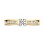 Blush Blush Ring 1125BZI/54 14k Geelgoud gezet met Briljant geslepen Zirkonia Maat 54
