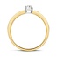 Blush Blush Ring 1125BZI/50 14k Geelgoud gezet met Briljant geslepen Zirkonia Maat 50