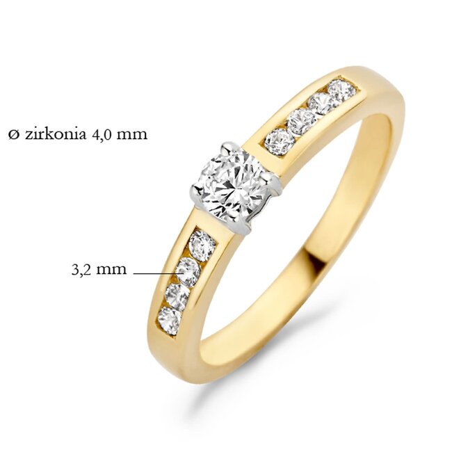 Blush Blush Ring 1125BZI/54 14k Geelgoud gezet met Briljant geslepen Zirkonia Maat 54