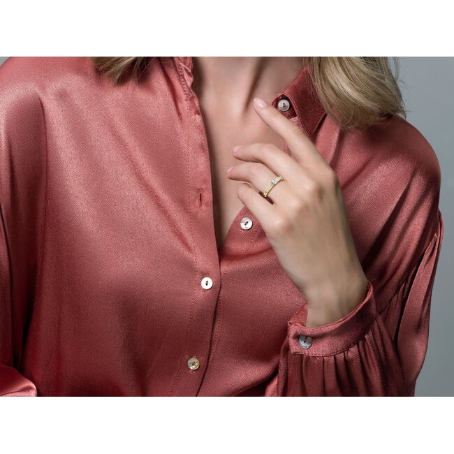 Blush Blush Ring 1125BZI/54 14k Geelgoud gezet met Briljant geslepen Zirkonia Maat 54