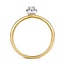 Blush 1131BZI/54 ring 14 krt geelgoud met zirkonia maat 54