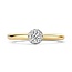 Blush 1131BZI/54 ring 14 krt geelgoud met zirkonia maat 54