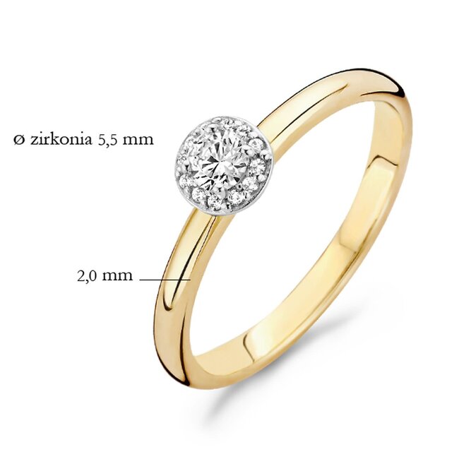 Blush 1131BZI/54 ring 14 krt geelgoud met zirkonia maat 54