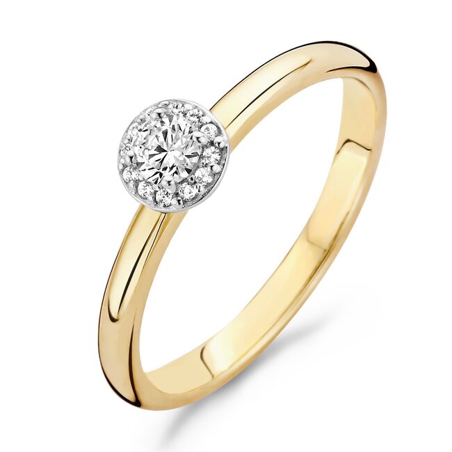 Blush 1131BZI/54 ring 14 krt geelgoud met zirkonia maat 54