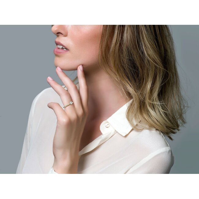 Blush 1131BZI/54 ring 14 krt geelgoud met zirkonia maat 54