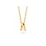 Blush Blush Collier met Hanger 3155YGO_A 14k Geelgoud met letter A 42cm