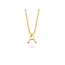 Blush Blush Collier met Hanger 3155YGO_A 14k Geelgoud met letter A 42cm
