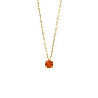 Blush Blush Collier 3200YCI November 14k Geelgoud met Madeira Citrien 42cm