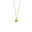 Blush Blush Collier 3200YGP Augustus 14k Geelgoud met Peridot 42cm